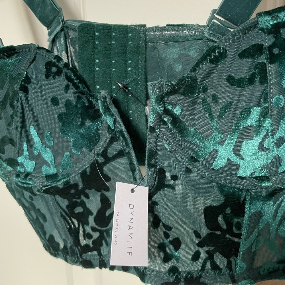 Dynamite Floral Corset Bustier Top XXS NWT Velour Flocked